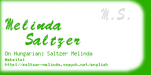 melinda saltzer business card